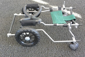Rear- wheel walker with full mesh front harness and turning caster wheels 