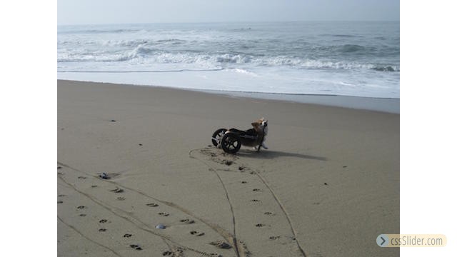 Am Strand