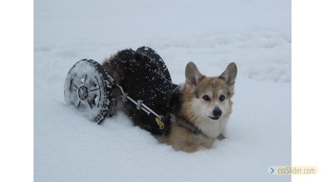 Tiefschnee