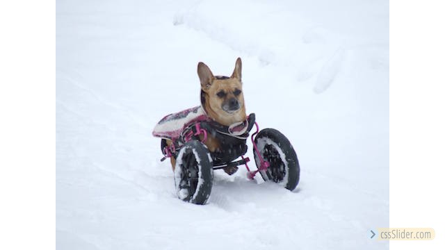 Wo bleiben die Schneeketten