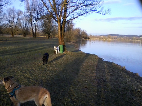 Am Rottauen-Stausee.jpg