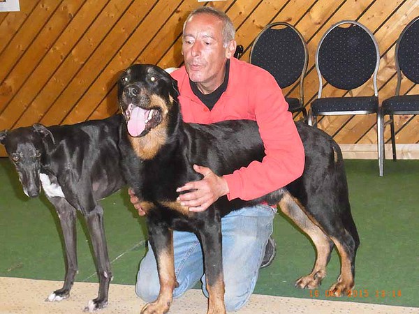 Hundetrainer Eddie mit Esperanza und Atos.JPG