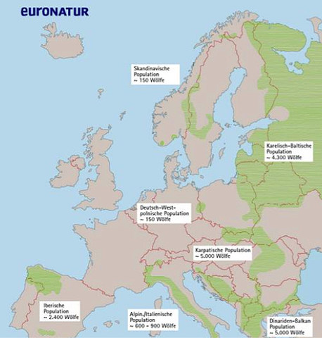 6-Populationen in Europa.jpg